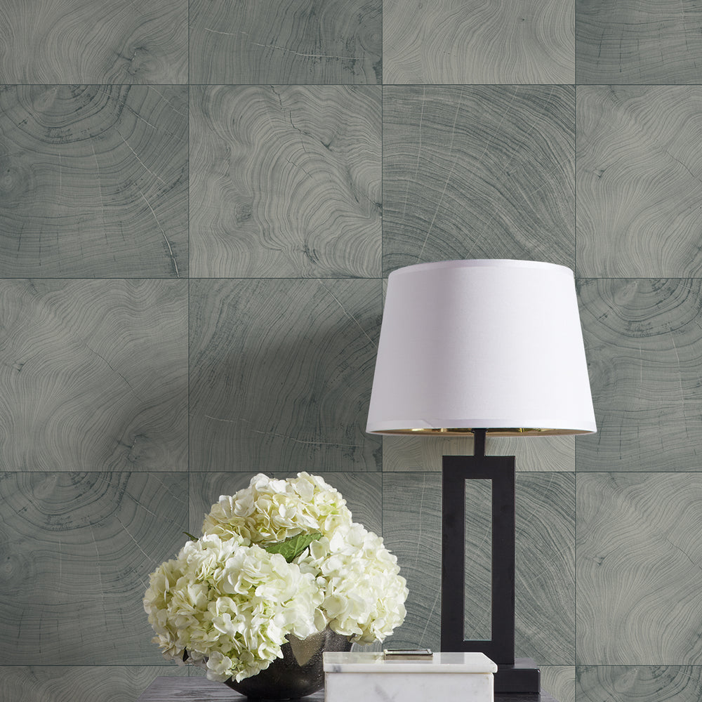 
                  
                    CP91908 faux wood embossed vinyl textured wallpaper decor from the A Lot More Textures collection by Seabrook Designs
                  
                