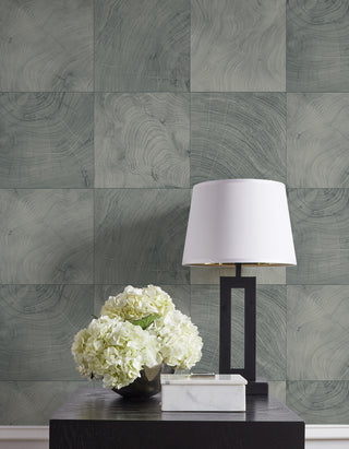 CP91908 faux wood embossed vinyl textured wallpaper decor from the A Lot More Textures collection by Seabrook Designs