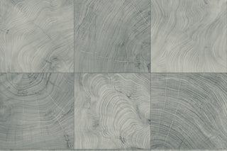 CP91908 faux wood embossed vinyl textured wallpaper from the A Lot More Textures collection by Seabrook Designs