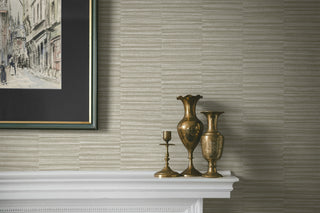 CP92007 faux grass stripe textured vinyl wallpaper fireplace from the A Lot More Textures collection by Seabrook Designs