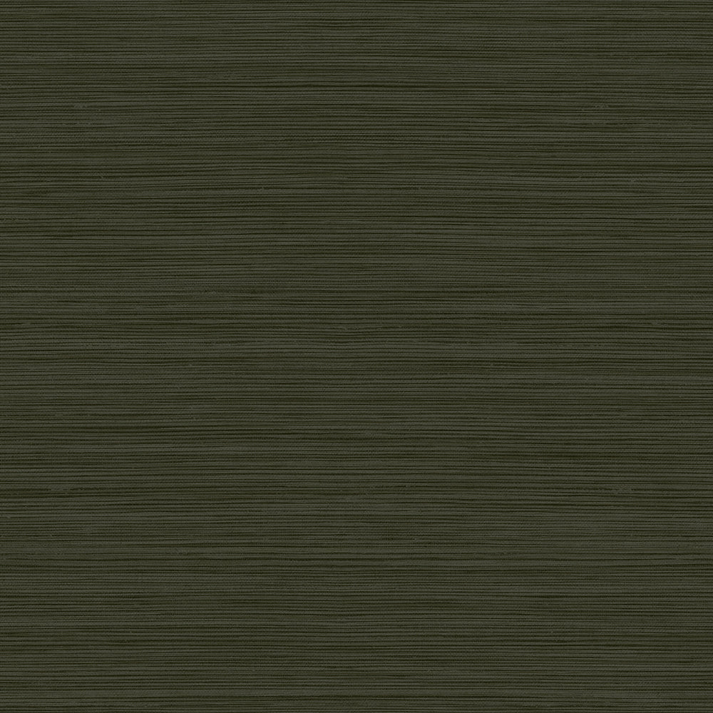 
                  
                    CP92104 faux grasscloth textured vinyl wallpaper from the A Lot More Textures collection by Seabrook Designs
                  
                