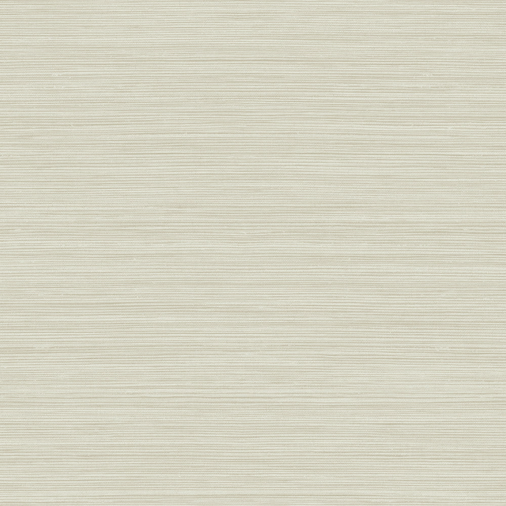 
                  
                    CP92105 faux grasscloth textured vinyl wallpaper from the A Lot More Textures collection by Seabrook Designs
                  
                