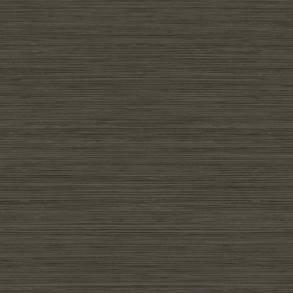 
                  
                    CP92106 faux grasscloth textured vinyl wallpaper from the A Lot More Textures collection by Seabrook Designs
                  
                