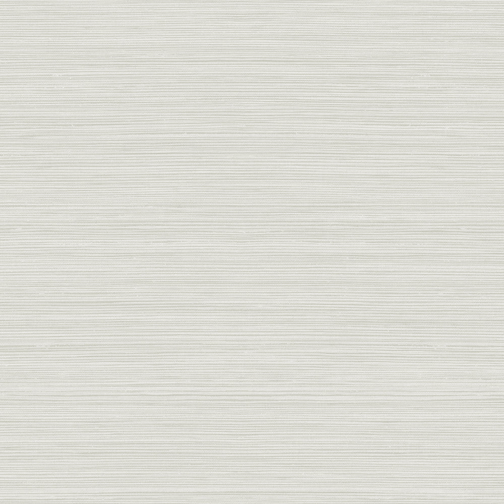 
                  
                    CP92110 faux grasscloth textured vinyl wallpaper from the A Lot More Textures collection by Seabrook Designs
                  
                