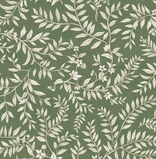 DB20904 Vining Leaf Trail Premium Matte Non-Woven Peel and Stick Wallpaper from Say Decor