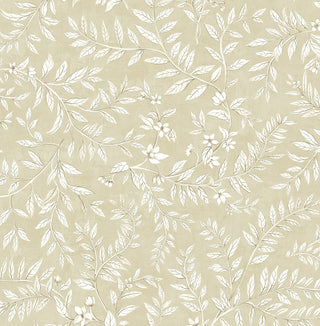 DB20905 Vining Leaf Trail Premium Matte Non-Woven Peel and Stick Wallpaper from Say Decor