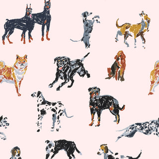 Mitchell Black Dog Days Wallpaper in shade Pink at Say Decor
