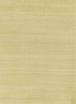 EL312X Neutral Sisal Grasscloth Wallpaper