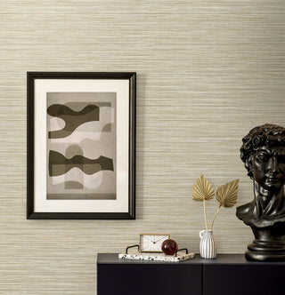 EN40005 Natural Grass Textures Savanna Faux Grasscloth Unpasted Wallpaper Decor at Say Decor