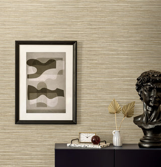 EN40007 Natural Grass Textures Savanna Faux Grasscloth Unpasted Wallpaper Decor at Say Decor
