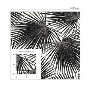EP11000 coastal palm leaf prepasted wallpaper scale from Seabrook Designs