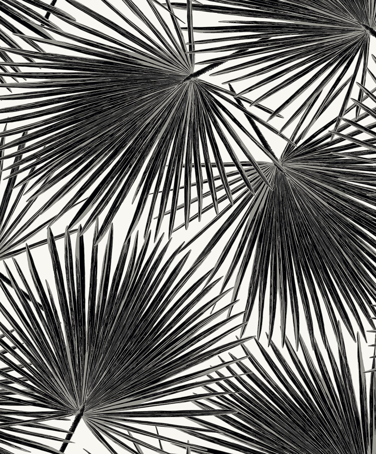 EP11000 coastal palm leaf prepasted wallpaper from Seabrook Designs