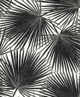 EP11000 coastal palm leaf prepasted wallpaper from Seabrook Designs