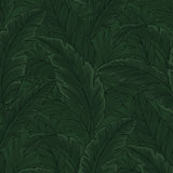 ET13004 leaf wallpaper from Seabrook Designs