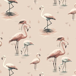 Mitchell Black Flamingo Wallpaper in shade Blush at Say Decor