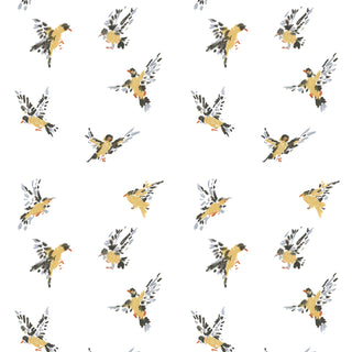 Mitchell Black Flight of the Finches Wallpaper in shade White at Say Decor