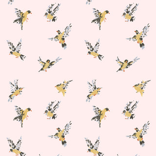 Mitchell Black Flight of the Finches Wallpaper in shade Pink at Say Decor