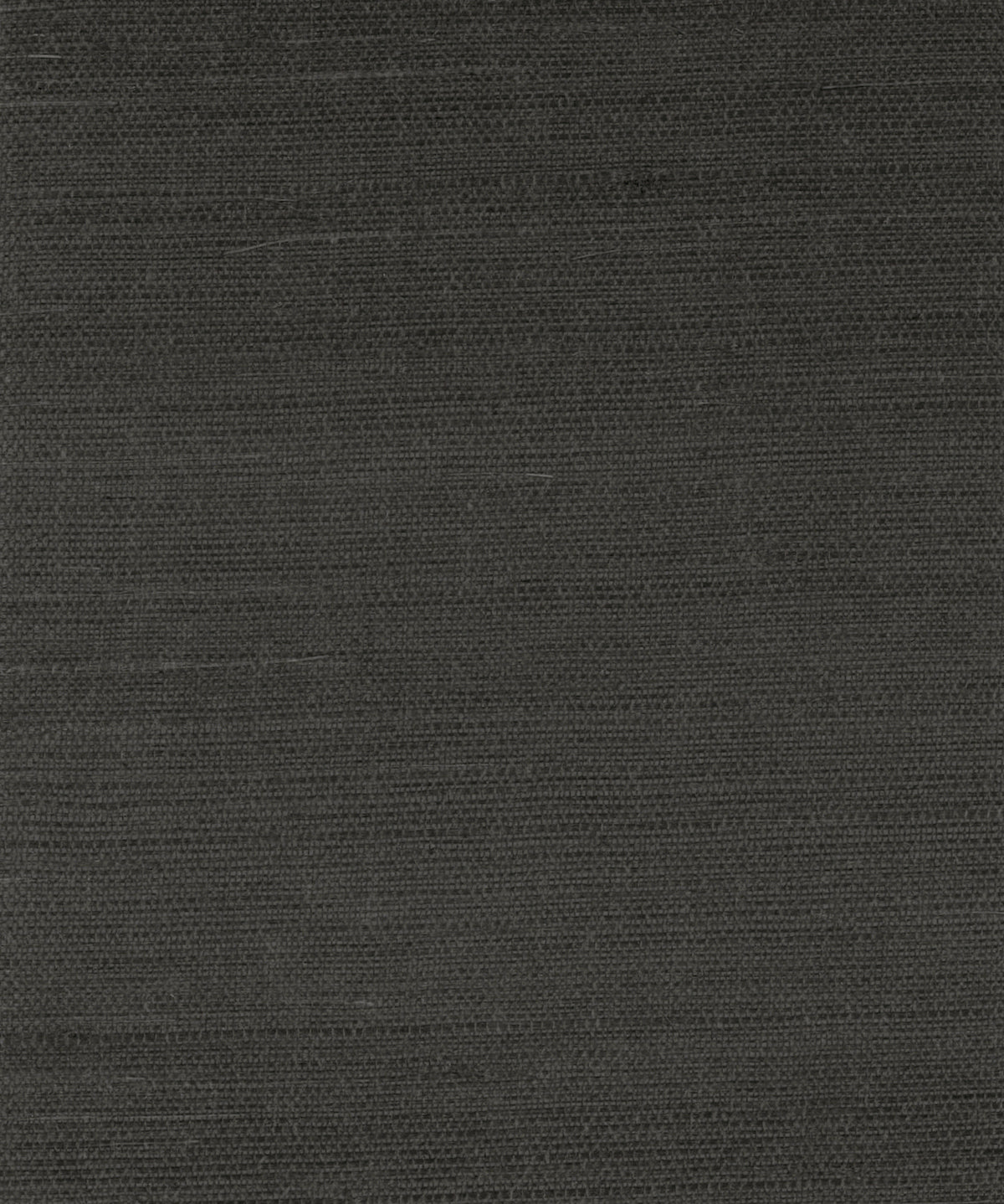 GG10000 black sisal grasscloth wallpaper from Say Decor