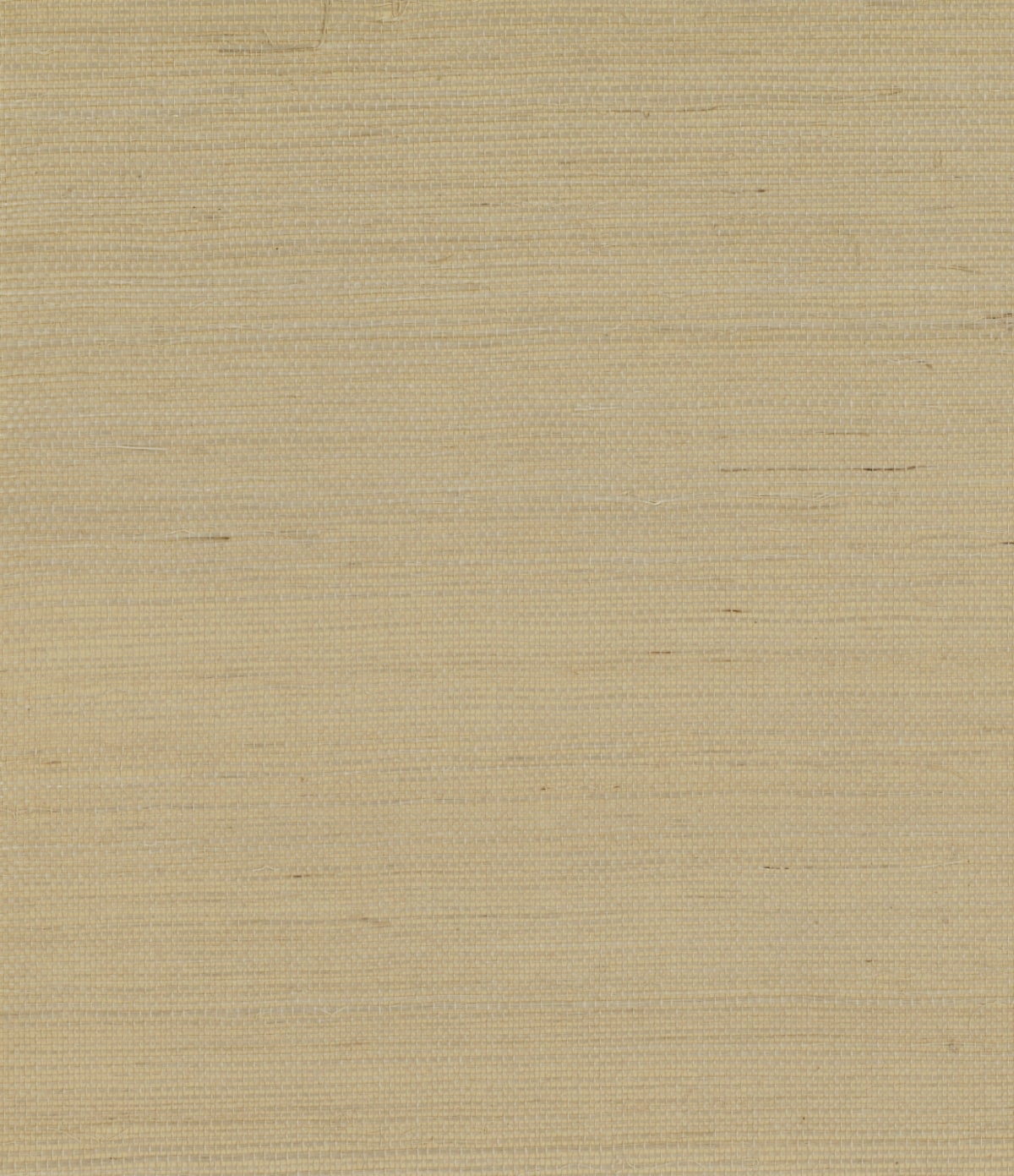 GG10003 beige sisal grasscloth wallpaper from Say Decor