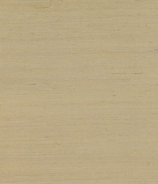 GG10003 beige sisal grasscloth wallpaper from Say Decor