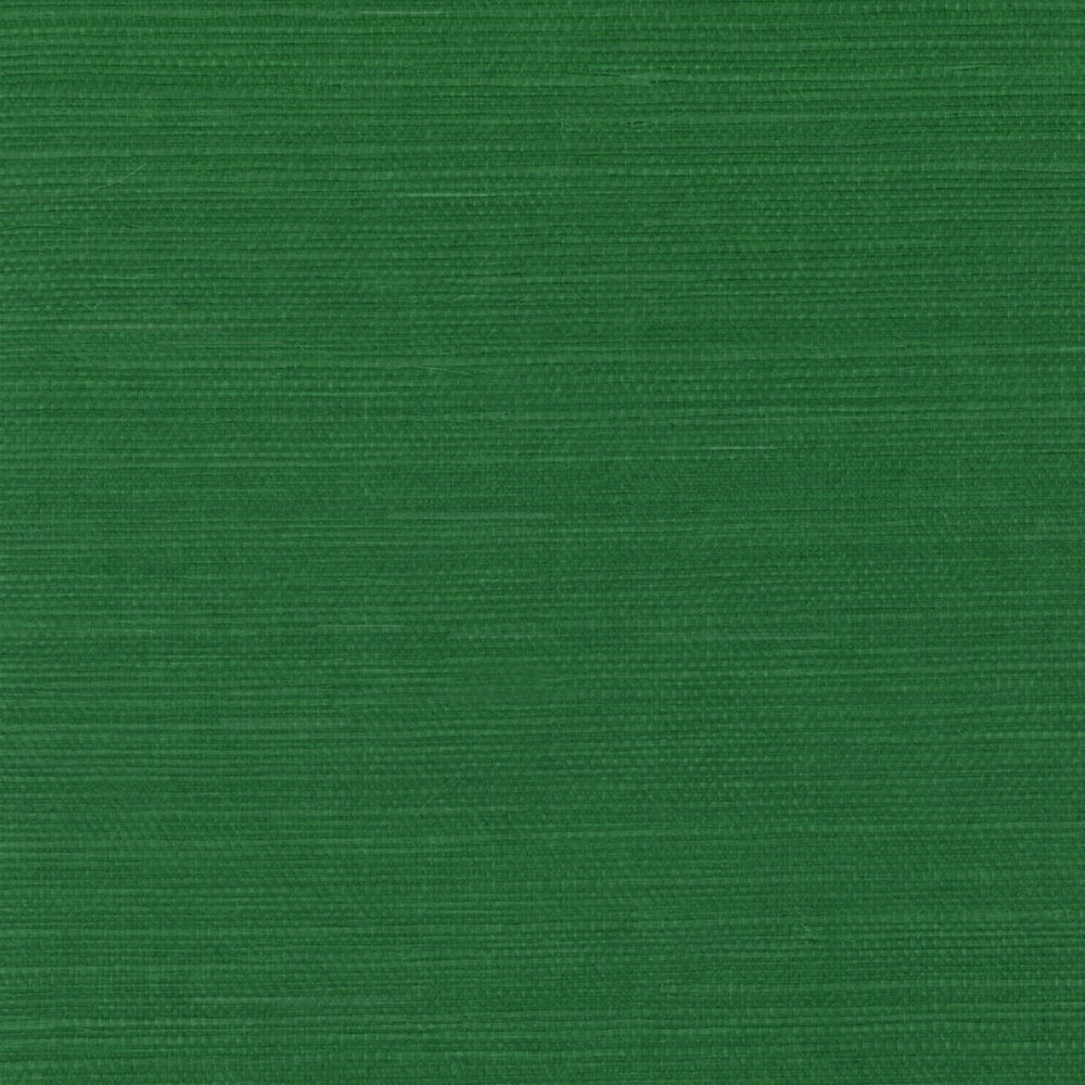 GG10004 green sisal grasscloth wallpaper from Say Decor