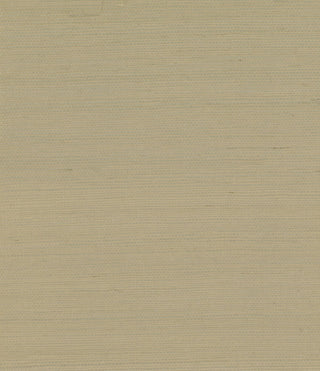 GG10005 neutral sisal grasscloth wallpaper from Say Decor