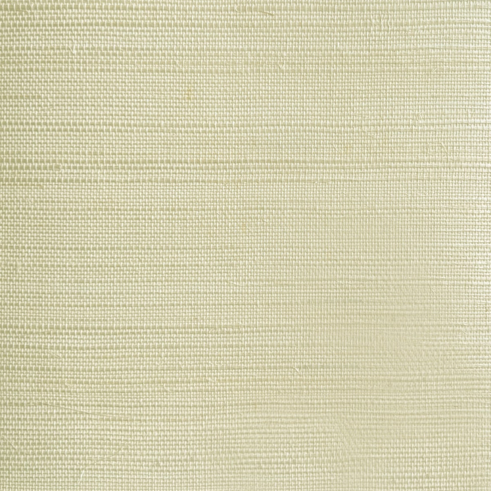GG10007 sisal grasscloth wallpaper from Say Decor