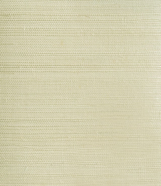 GG10007 sisal grasscloth wallpaper from Say Decor