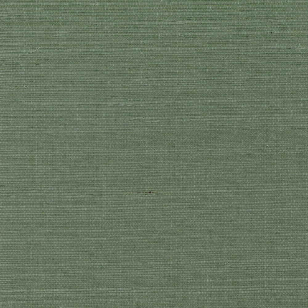GG10014 green sisal grasscloth wallpaper from Say Decor