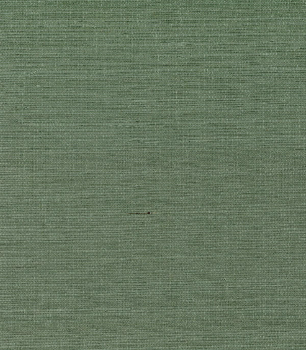 GG10014 green sisal grasscloth wallpaper from Say Decor