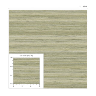 Olive Meiya Stria Embossed Vinyl Unpasted Wallpaper Scale from Say Decor