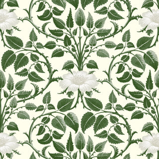 Mitchell Black Botanical Legacy Garden Vine Floral Wallpaper in shade Ivy Green at Say Decor