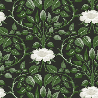 Mitchell Black Botanical Legacy Garden Vine Floral Wallpaper in shade Shaded Leaf at Say Decor