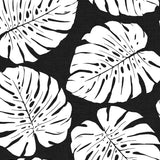 HG10500 monstera leaf tropical peel and stick wallpaper from Harry & Grace