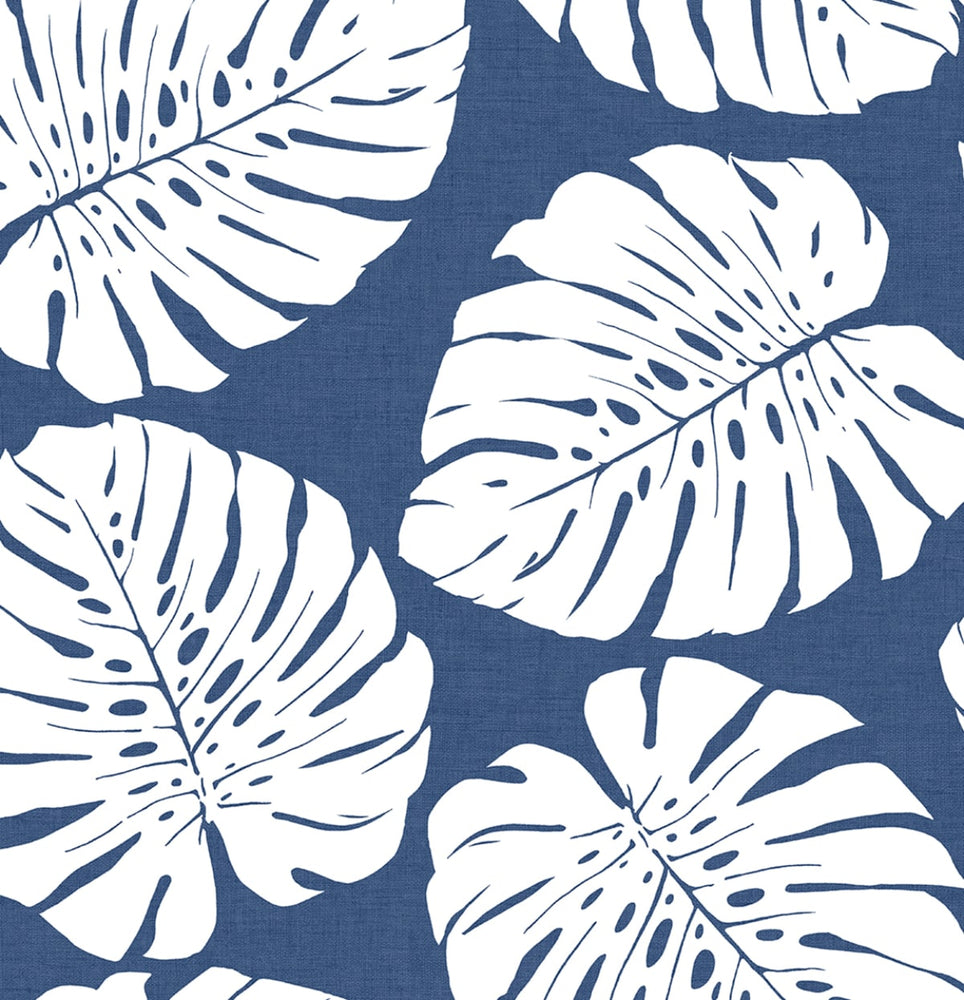 HG10502 monstera leaf tropical peel and stick wallpaper from Harry & Grace