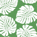 HG10504 monstera leaf tropical peel and stick wallpaper from Harry & Grace