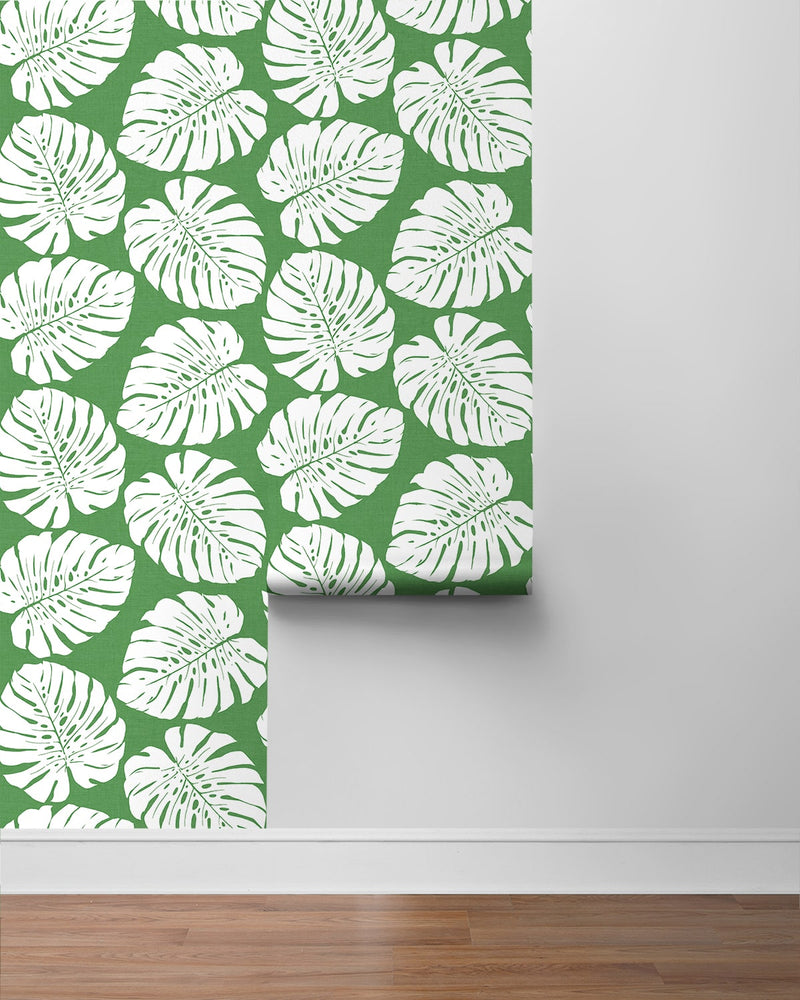 HG10504 monstera leaf tropical peel and stick wallpaper roll from Harry & Grace