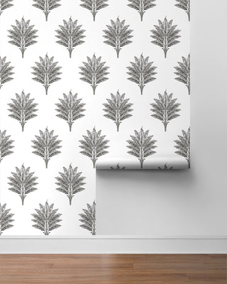 HG10600 palm leaf peel and stick wallpaper roll from Harry & Grace