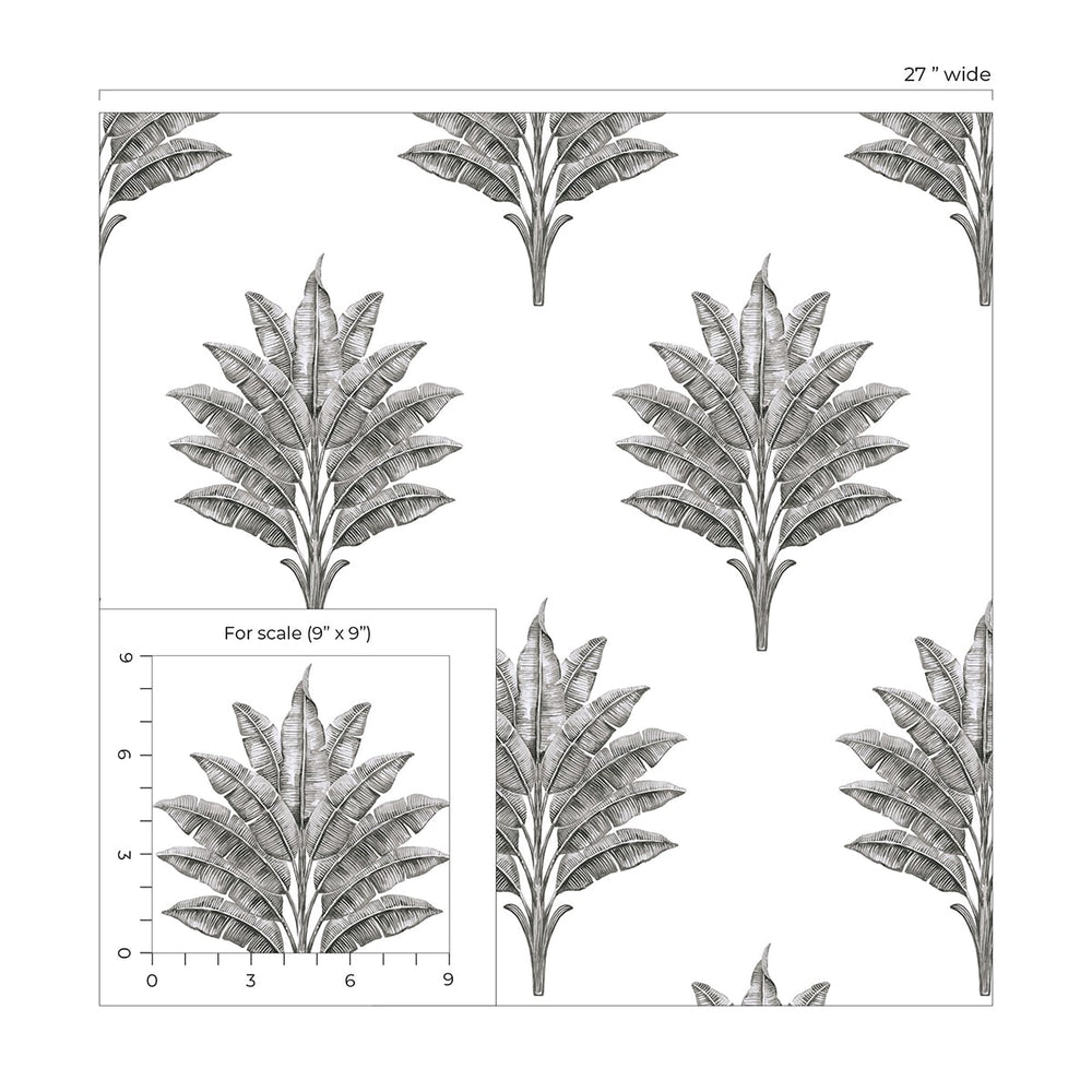 HG10600 palm leaf peel and stick wallpaper scale from Harry & Grace