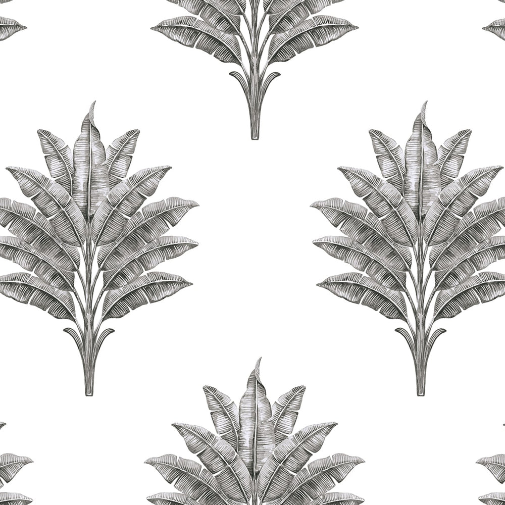 
                  
                    HG10600 palm leaf peel and stick wallpaper from Harry & Grace
                  
                