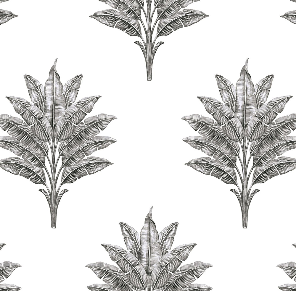 HG10600 palm leaf peel and stick wallpaper from Harry & Grace