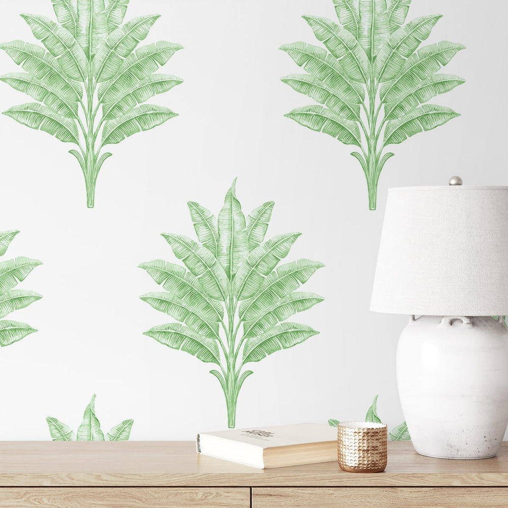 
                  
                    HG10604 palm leaf peel and stick wallpaper accent from Harry & Grace
                  
                