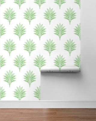 HG10604 palm leaf peel and stick wallpaper roll from Harry & Grace