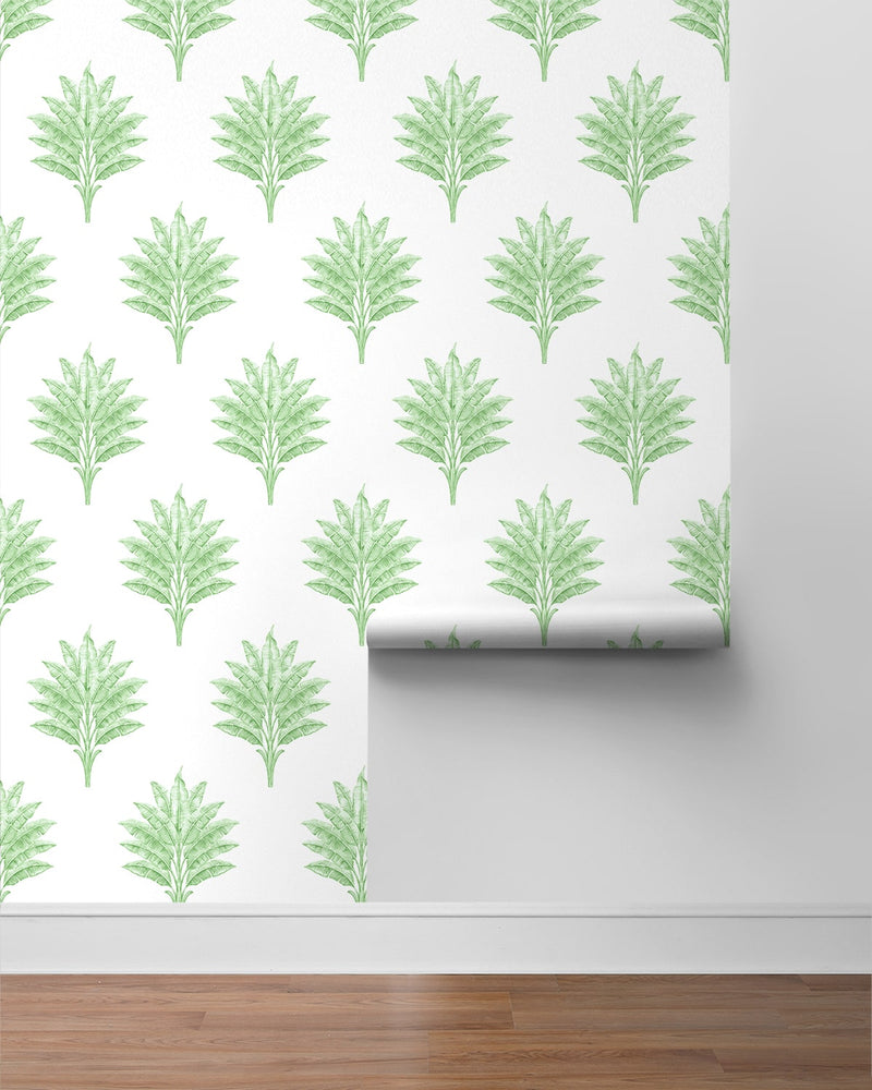 HG10604 palm leaf peel and stick wallpaper roll from Harry & Grace