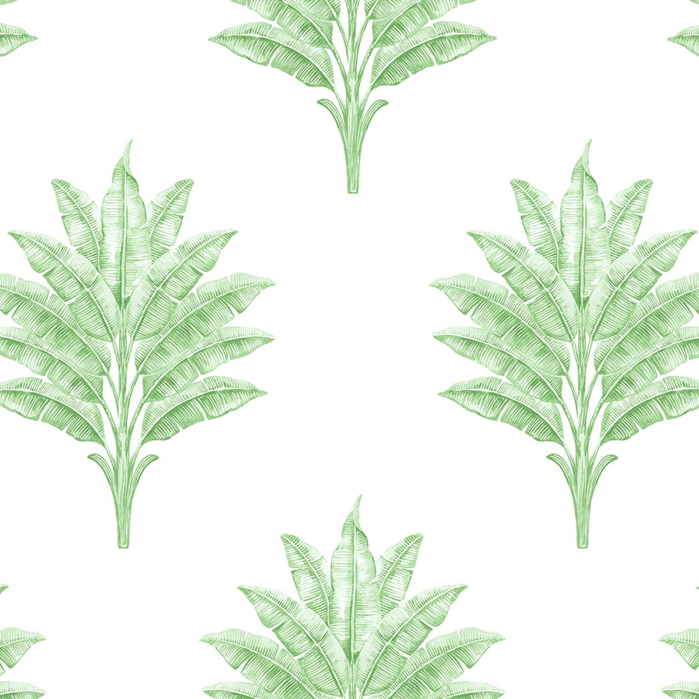 
                  
                    HG10604 palm leaf peel and stick wallpaper from Harry & Grace
                  
                