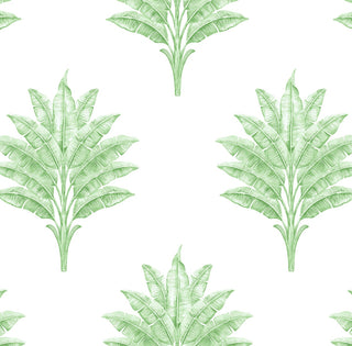 HG10604 palm leaf peel and stick wallpaper from Harry & Grace