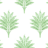 HG10604 palm leaf peel and stick wallpaper from Harry & Grace