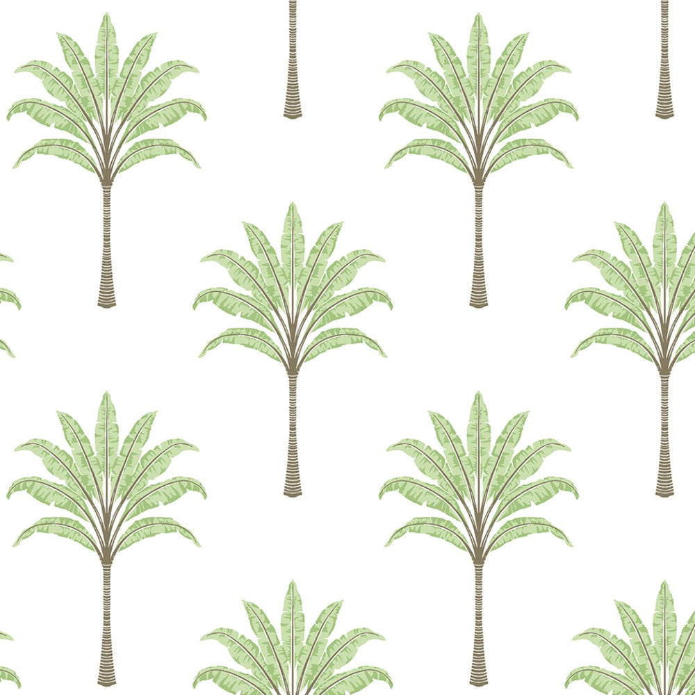 
                  
                    HG10704 palm tree peel and stick wallpaper from Harry & Grace
                  
                