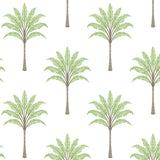 HG10704 palm tree peel and stick wallpaper from Harry & Grace