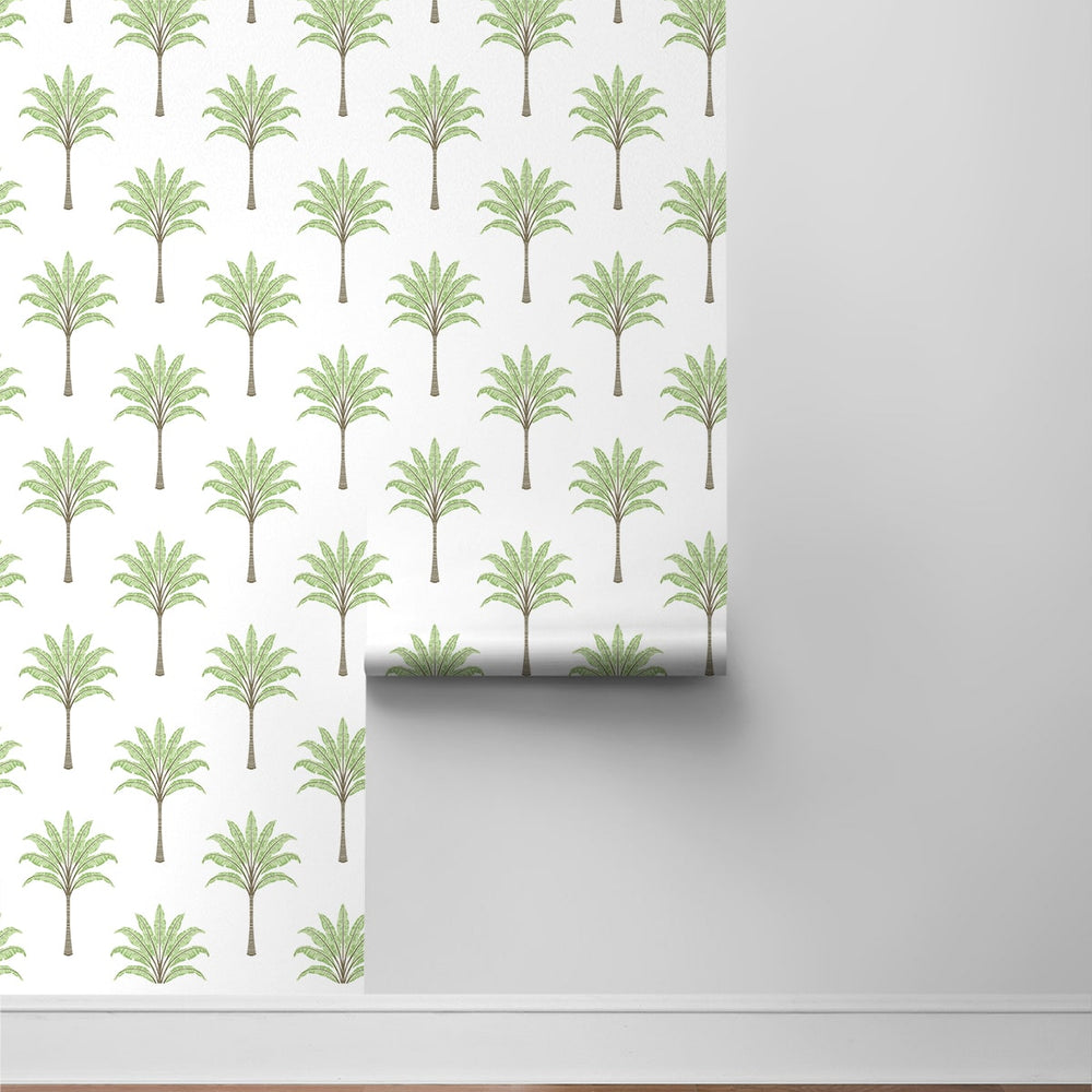 
                  
                    HG10704 palm tree peel and stick wallpaper roll from Harry & Grace
                  
                